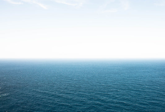 Wide expanse of ocean under a clear sky, suggesting the calming effect of powder blue, relevant to isopod care environment.