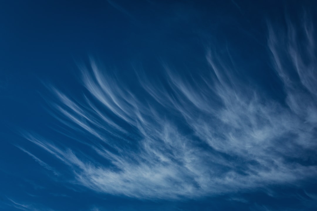 Abstract blue and white cloud formations suggestive of the calming and natural environment ideal for isopod habitats.