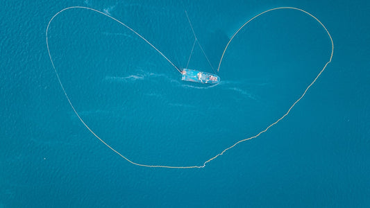 Aerial view of a small boat encircled by a fishing net in clear blue water, resembling the habitat of blue powder isopods.