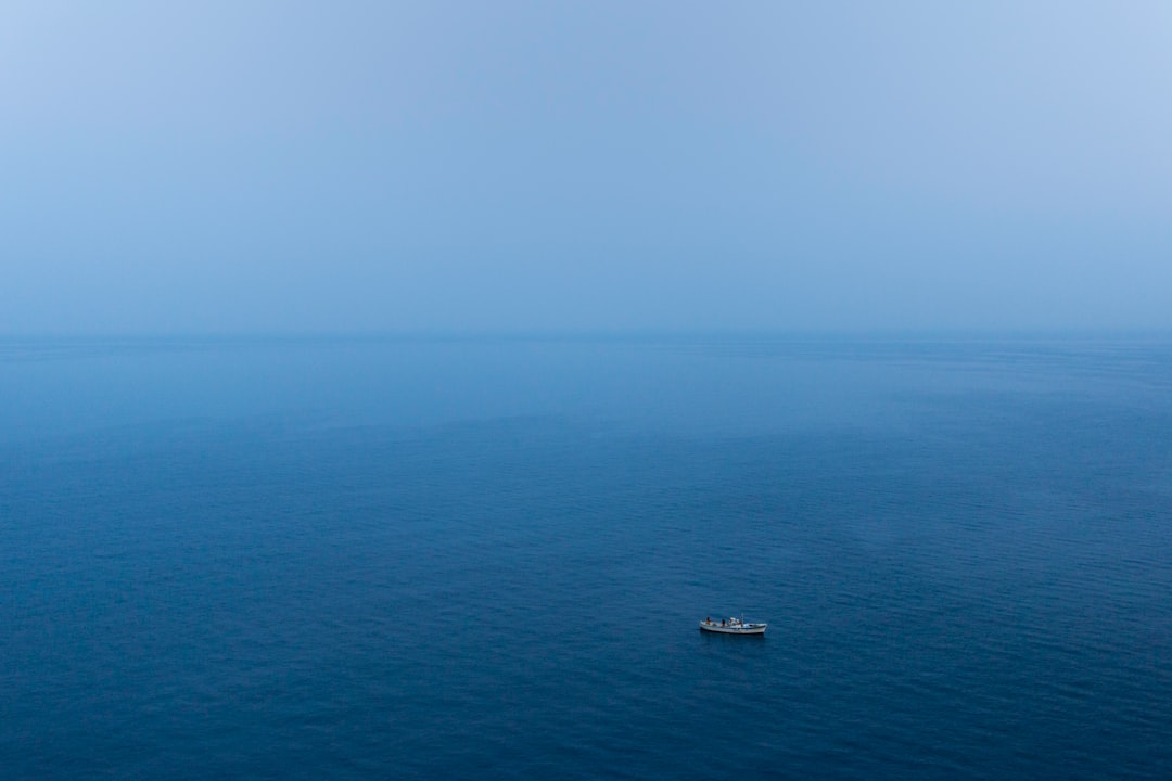 Vast expanse of powder blue ocean under a clear sky with a small boat, reflecting the serene habitat needed for isopod care.