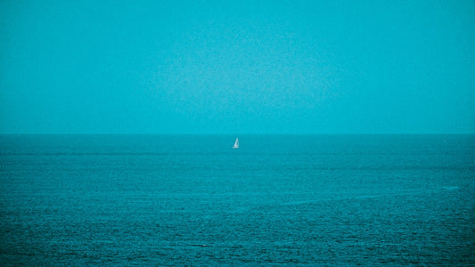 A sailboat at sea under a clear, powder-blue sky, illustrating the serene color associated with powder blue isopods for a care guide article.