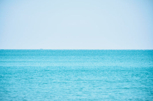 A serene sea with powder blue water under a clear sky, illustrating the calming hue for a powder blue isopod care guide.