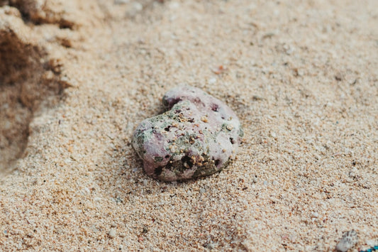 A purple and green stone lies on sandy ground, highlighting the natural habitat context for superworms discussed in the article.