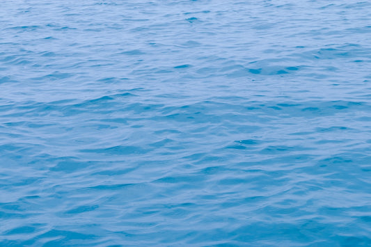 A serene blue ocean surface, symbolizing the color inspiration for powder blue isopods mentioned in the care guide.