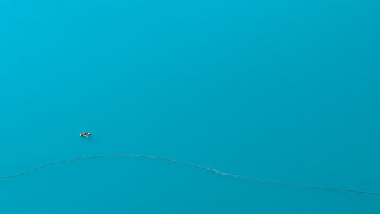 A small boat floats on a vast, calm blue lake, symbolizing tranquility similar to the serene habitat ideal for powder blue isopods.